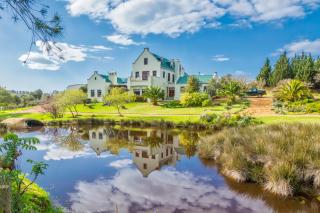 Peace Valley Guesthouse - Napier - 8