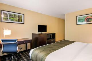 Quality Inn & Suites Albany Corvallis - Albany - 9