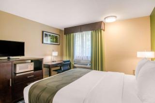 Quality Inn & Suites Albany Corvallis - Albany - 6