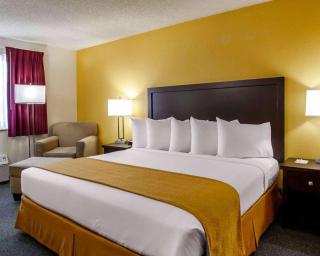 Quality Inn & Suites - Springfield - 9