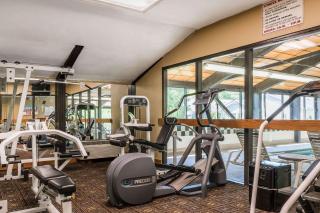 Comfort Inn Pine Grove I-81 Hershey Area - Pine Grove - 2