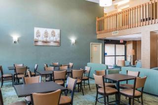 Comfort Inn Pine Grove I-81 Hershey Area - Pine Grove - 6