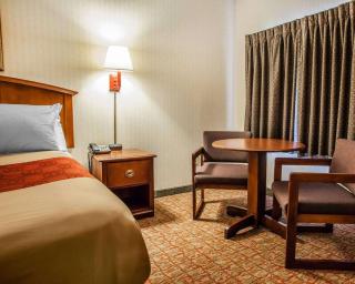 Econo Lodge Douglassville-Pottstown - 3