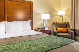 Comfort Inn Duncansville - Altoona - Duncansville - 9
