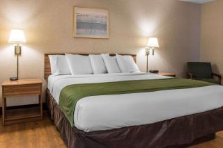 Quality Inn Arena - Wilkes-Barre - 1