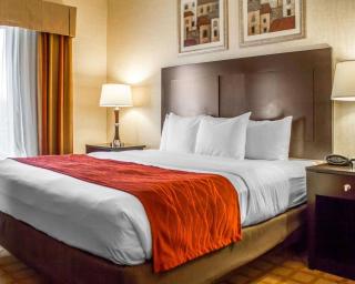 Comfort Suites - Edinboro - 3