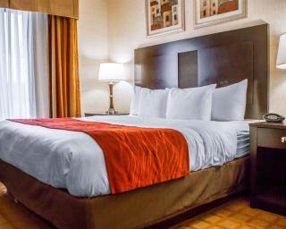 Comfort Suites Edinboro - 4