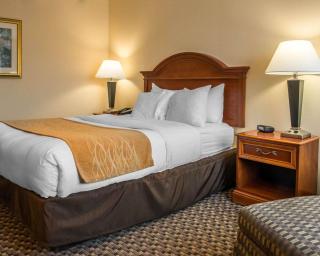 Comfort Inn & Suites Pittsburgh Fox Chapel - 8