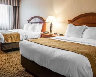 Comfort Inn & Suites Pittsburgh Fox Chapel - Montrose Hill - 7