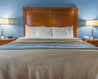 Comfort Inn - 3