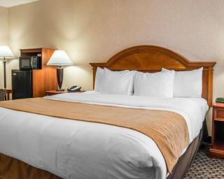 Comfort Inn & Suites Pittsburgh Fox Chapel - Montrose Hill - 4