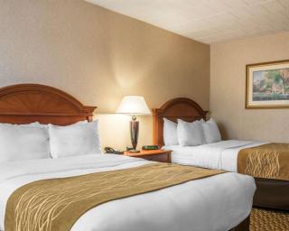 Comfort Inn & Suites Pittsburgh Fox Chapel - 2