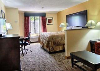 Quality Inn & Suites Greenville near downtown - 7
