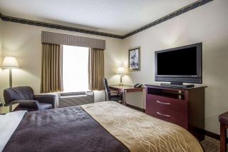 Comfort Inn & Suites FtJackson Maingate - Columbia - 1