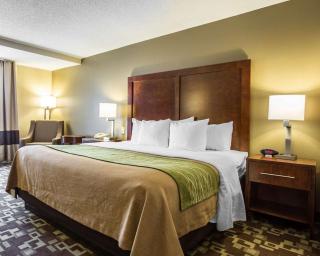 Comfort Inn & Suites Walterboro I-95 - Walterboro - 7
