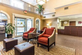 Comfort Suites Myrtle Beach Central - Myrtle Beach - 8