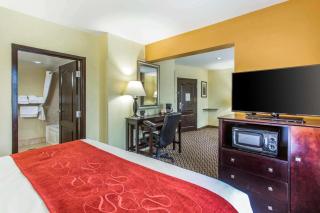 Comfort Suites Clinton near Presbyterian College - Clinton - 3