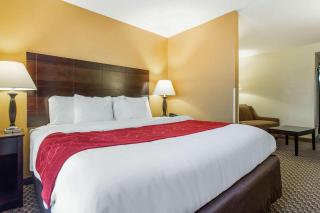 Comfort Suites Clinton near Presbyterian College - Clinton - 1