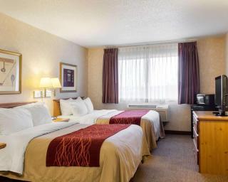 Quality Inn - Brandon - 3
