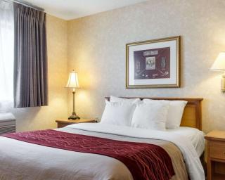 Quality Inn - Brandon - 1