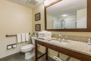 Comfort Inn & Suites Greenwood near University - 5