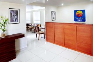Comfort Inn Real San Miguel - San Miguel - 4