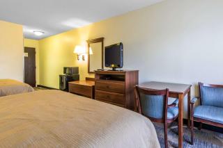 Quality Inn & Suites Memphis East - Memphis - 9