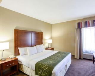 Comfort Suites - Crossville - 8