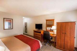 Quality Inn & Suites Germantown North - Memphis - 6