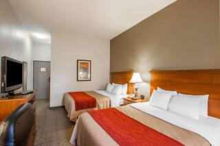 Quality Inn & Suites Germantown North - Memphis - 4