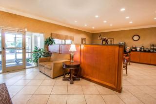 Quality Inn & Suites Germantown North - Memphis - 3