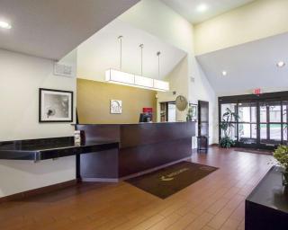 Sleep Inn Nashville North - Downtown Area - Nashville - 3