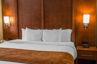Comfort Suites - New Braunfels - 3