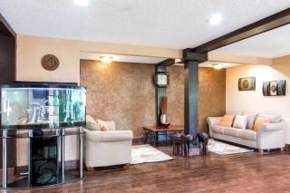 Quality Inn & Suites I-35 near Frost Bank Center - San Antonio - 6