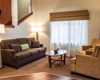 Sleep Inn Arlington Near Six Flags - Arlington - 6