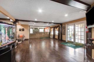 Quality Inn & Suites I-35 near Frost Bank Center - San Antonio - 5