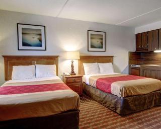 Rodeway Inn New Braunfels - New Braunfels - 4
