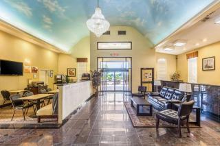 Quality Suites North Houston - Spring - Houston - 7