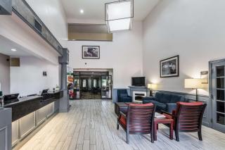 Quality Suites Burleson - Ft Worth - Burleson - 8