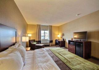 Comfort Inn Edinburg South - Edinburg - 8