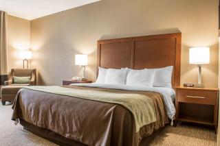 Comfort Inn Edinburg South - Edinburg - 1