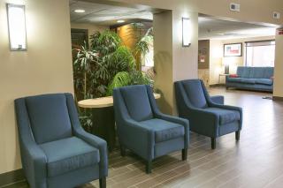 Comfort Suites Austin NW Lakeline - Austin - 6