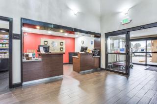 Comfort Inn & Suites Love Field-Dallas Market Center - 4