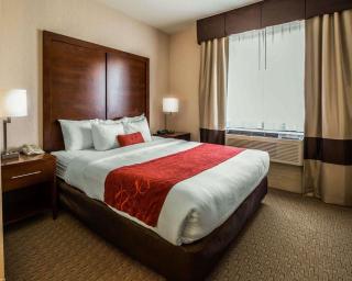 Comfort Suites Stafford Near Sugarland - Stafford - 3