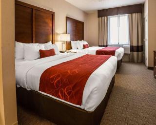 Comfort Suites Stafford Near Sugarland - Stafford - 1