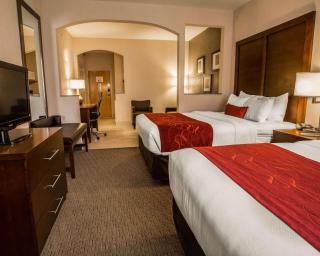 Comfort Suites Stafford Near Sugarland - Stafford - 2