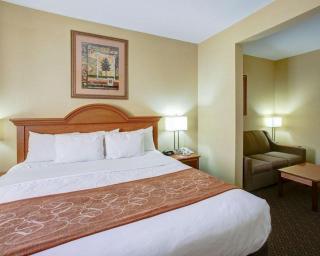 Comfort Suites - Brenham - 4