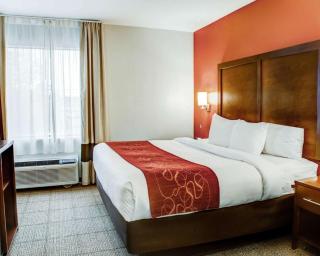 Comfort Suites Tyler South - 2