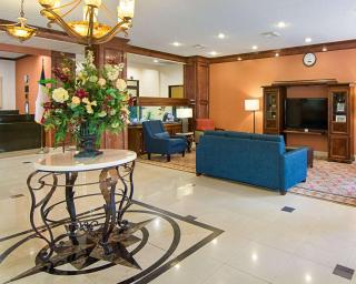 Comfort Inn & Suites Houston West-Katy - Katy - 3