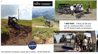 Les Blanches Provençales - 8